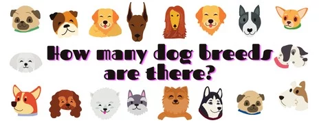 How many dog breeds are there